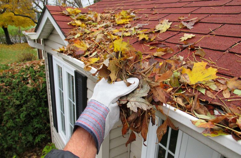 Pre-Winter Gutter Checkups